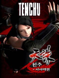 game pic for Tenchu wrath of heaven